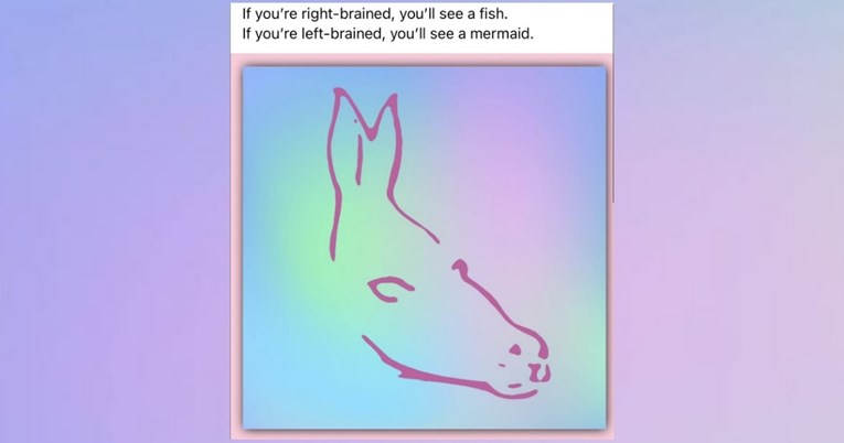 Neobična optička iluzija izluđuje hiljade ljudi na internetu. Vidite li vi ribu i sirenu? Većina kaže da vidi magarca…