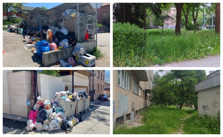 Jezive scene stižu iz Sarajeva, da povratiš, glavni grad BiH poput “urbane džungle”: Okruženo rastinjem i smećem