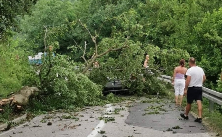 Nesreća uzrokovana nevremenom u BiH: Snažan vjetar oborio drvo na automobil u pokretu