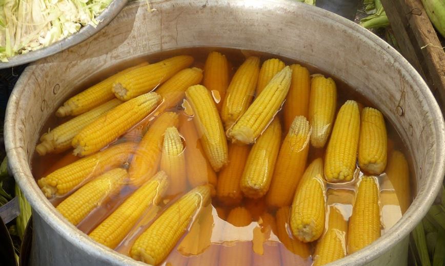 Vrhunski trik za najukusniji kuhani kukuruz