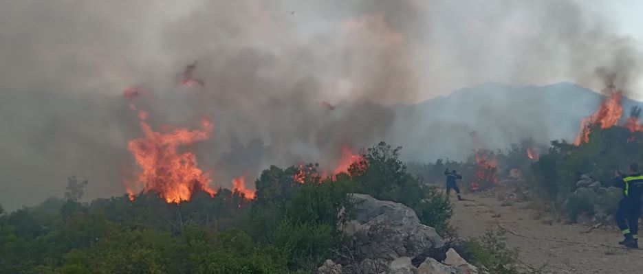Buknuo veliki požar kod Neuma, vatra se približila i kućama
