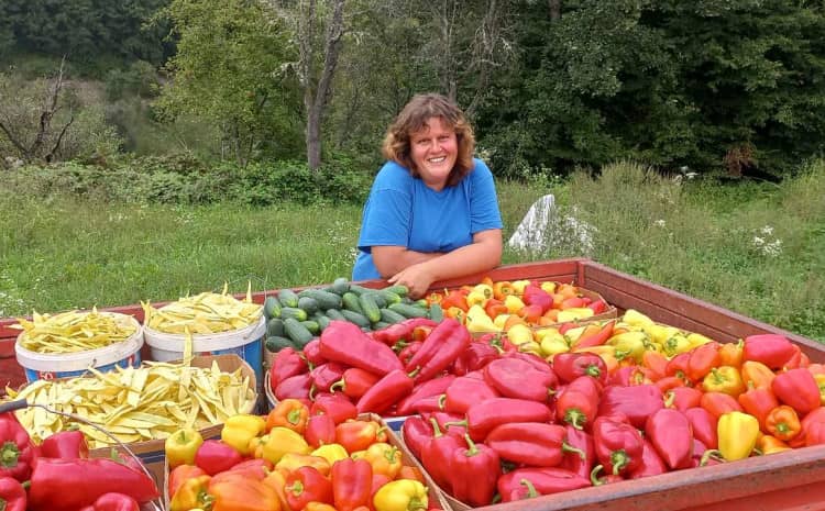 Vrijedna porodica iz Bosne i Hercegovine ubire plodove svoga rada: U rekordnoj sezoni imat ćemo 15 tona paprike