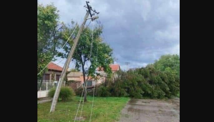 Silovito nevrijeme u bh. komšiluku, vozila se jedva probijaju jak vjetar obarao drveće, pogledajte snimak i fotografije iz Srbije