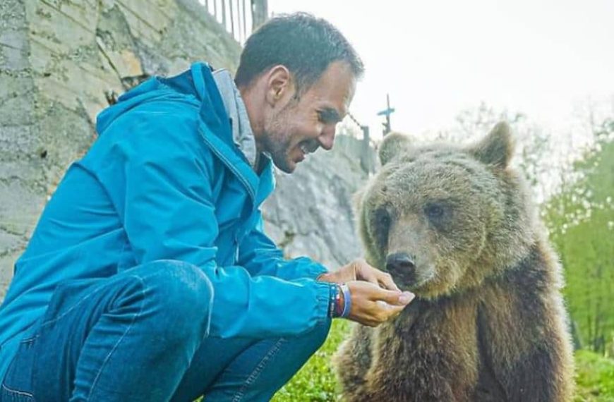Jedinstveno iskustvo u BiH: Putopisac Robert Dacešin proveo dan s medvjedima i vukom, jeli su mu iz ruke