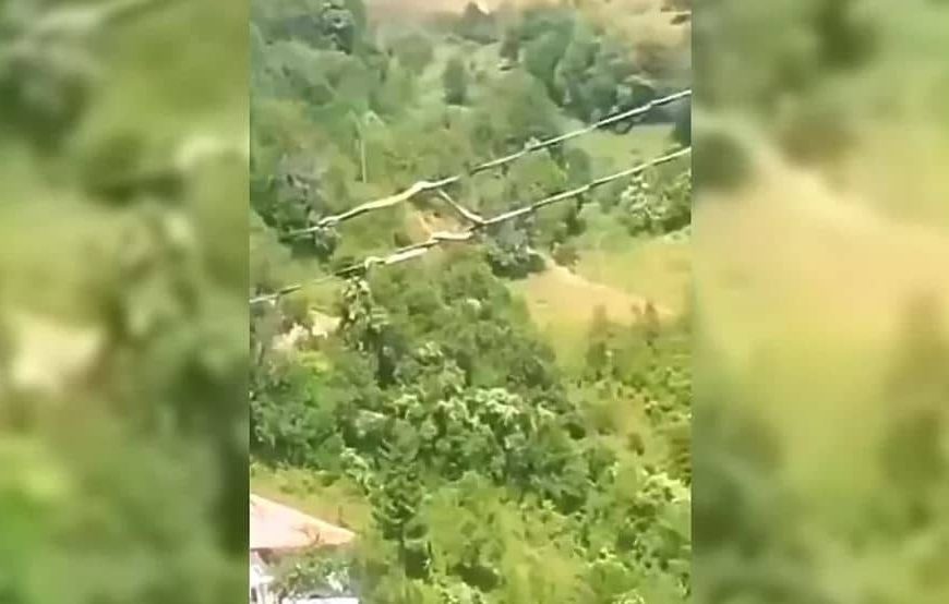Pogledajte snimak iz BiH: Snimio zmiju dugačku nekoliko metara kako se uvija na žicama dalekovoda