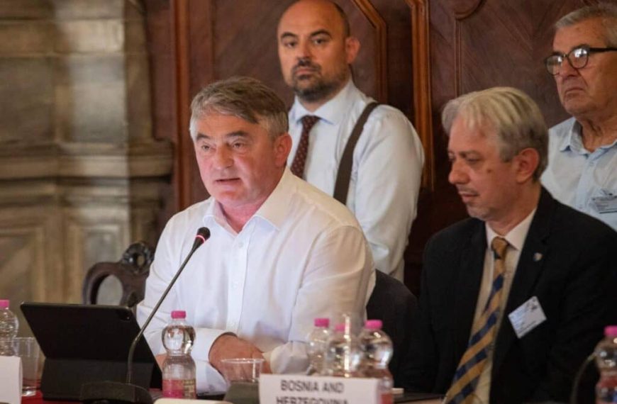 Komšić pred Venecijanskom komisijom upozorio i uputio jasne i oštre kritike zbog načina izbora sudija Ustavnog suda BiH, zatražio mišljenje