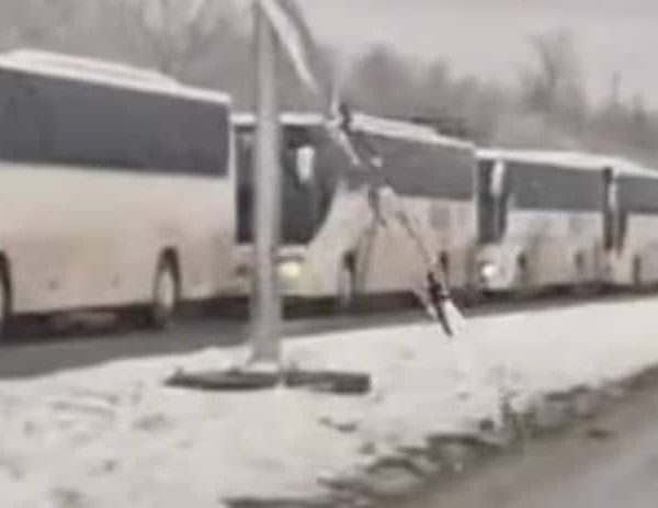 Pogledajte snimak: Kolone autobusa sa bh. tablicama ušle u Srbiju