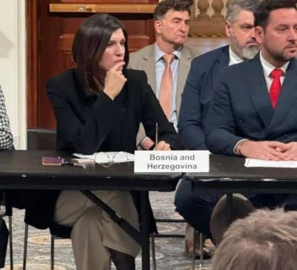 Sabina Ćudić govorila u američkom Kongresu: Prisutne je posebno zanimao…
