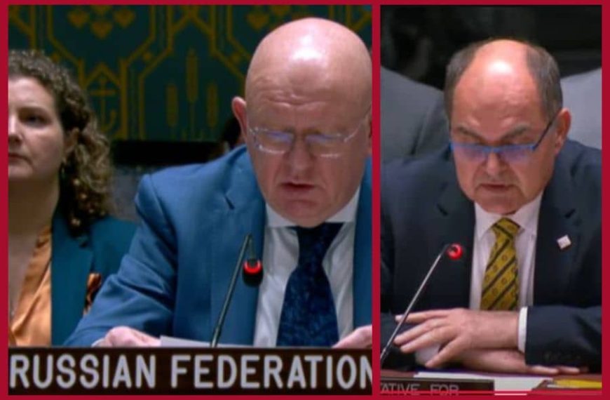 Drama u UN-u: Ruski ambasador napustio sjednicu Vijeća sigurnosti zbog Schmidta, ali se onda ipak vratio