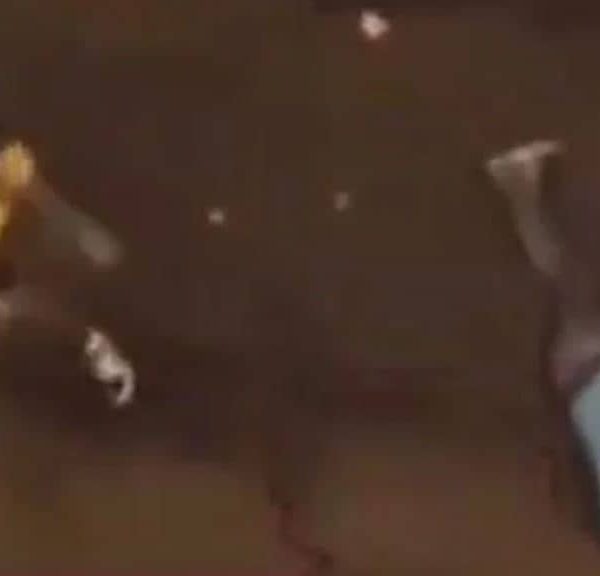 Pojavio se snimak: Brutalna tuča košarkaša Partizana, jedan od njih čovjeku razbio bocu o glavu