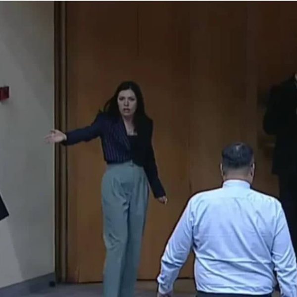 Sanja Vulić nakon što je umalo izbila tuča u Parlamentu BiH: “Građanin Babalj, vršilac…