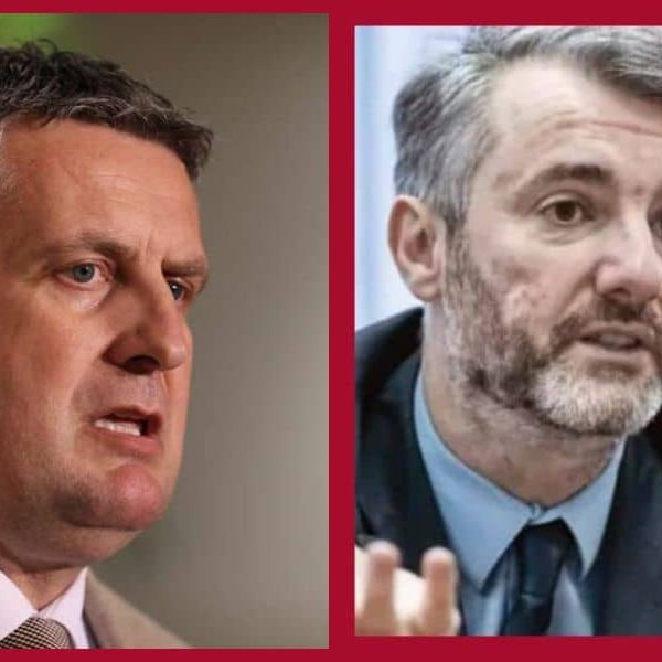 Nenad Vuković iz PDP-a žustro odbrusio Edinu Forti: “Na entitetima je nadležnost za gradnju…