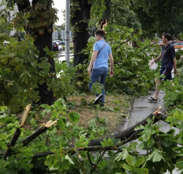Stablo palo na dijete i ženu tokom nevremena