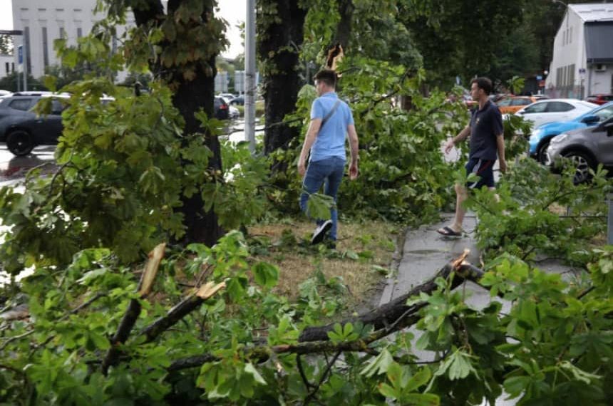 Stablo palo na dijete i ženu tokom nevremena