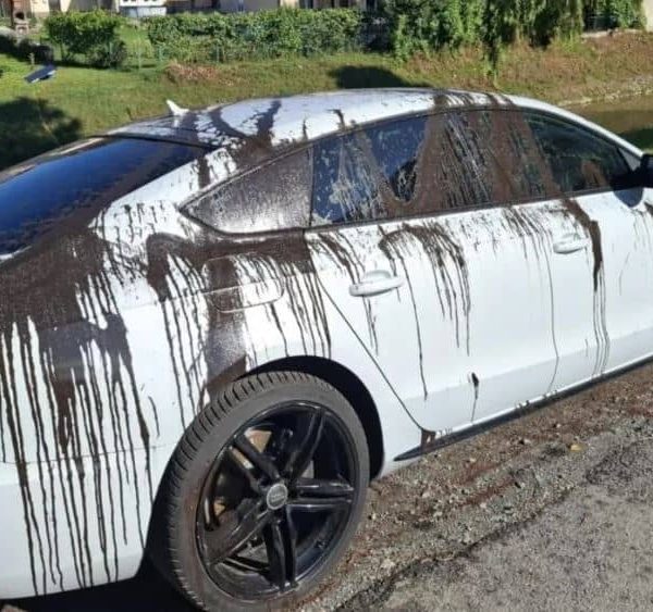 Došla iz Njemačke u rodni grad na godišnji, automobil joj…