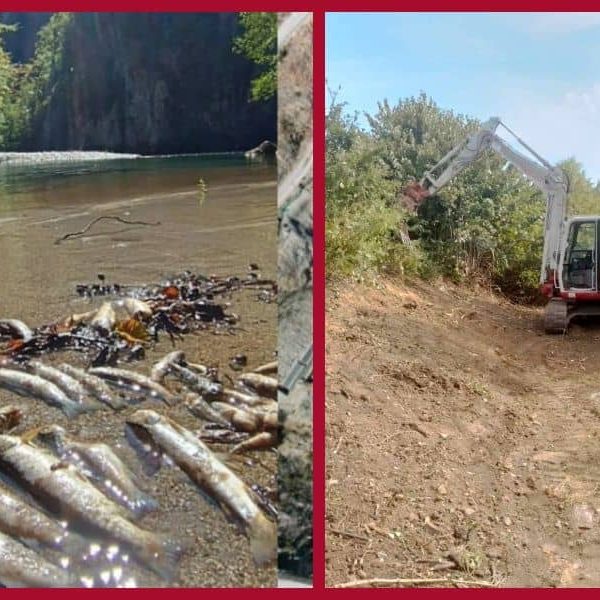 Korupcija ubija predivne rijeke u BiH: “Inspektori dođu kad u Crnom moru završi naša zagađena voda!”