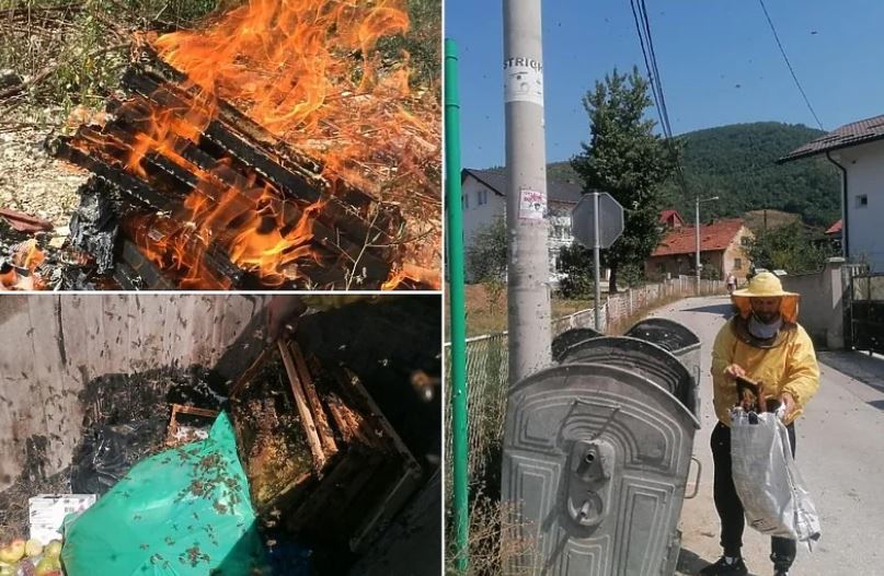Nesvakidašnja i nezapamćena situacija za tu općinu, grozan slučaj u BiH: U kontejner bačene pčele, morala reagirati i veterinarska stanica