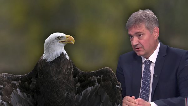 Kako se Denis Zvizdić “upecao” na mitsku priču o “preporodu orlova”